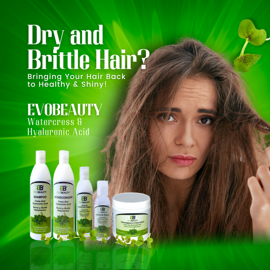 Solutions for Dry and Brittle Hair